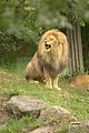 leipzig zoo-01_07_2011_zoo_allgemein_246